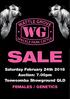 SALE. Saturday February 24th 2018 Auction: 7.00pm Toowoomba Showground QLD FEMALES / GENETICS