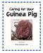 Caring for Your. Guinea Pig. Jill Foran Weigl Publishers Inc.