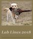 Yearbook of the Labrador Retriever Kennel Club, South Africa