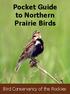 Pocket Guide to Northern Prairie Birds