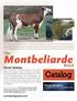 Montbeliarde. Catalog. The. Breed