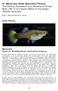 S1 Materials; Slide Specimen Photos The Cellular Expression and Genetics of Purple Body (Pb) in the Ocular Media of the Guppy Poecilia reticulata