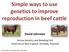 Simple ways to use genetics to improve reproduction in beef cattle David Johnston