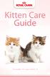 Kitten Care Guide. The essentials for a good start in life