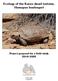 Ecology of the Karoo dwarf tortoise, Homopus boulengeri. Project proposal for a field study