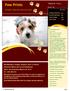 Paw Prints. Greater Monroe Kennel Club. Volume 18, Issue 1 ISSUE 00 MONTH YEAR. this issue