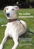 The welfare of greyhounds