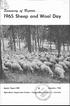 1965 Sheep and Wool Day