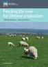 Feeding the ewe for lifetime production Taking theory... into practice