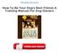 How To Be Your Dog's Best Friend: A Training Manual For Dog Owners PDF