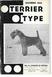 TYPE DECEMBER 1966 ENG. CH. STARGAZER OF DARTVALE A GREAT TERRIER COMES TO THE UNITED STATES