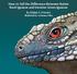 How to Tell the Difference Between Native Rock Iguanas and Invasive Green Iguanas. By Elaine A. Powers Illustrated by Anderson Atlas