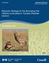Recovery Strategy for the Burrowing Owl (Athene cunicularia) in Canada (Revised version)