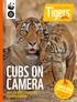 CUBS ON CAMERA. Tigers EARTH HOUR MEET THE NEWEST ADDITIONS TO KHATA CORRIDOR MAKE YOURS MATTER N S I D E