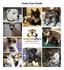 Dear Foster Family, 2 Animal Allies Humane Society Foster Care Manual