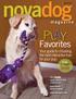 Favorites Your guide to choosing the best interactive toys for your pup
