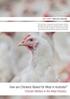 How are Chickens Raised for Meat in Australia? Chicken Welfare in the Meat Industry. FACT SHEET: BROILER CHICKENS