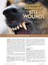 Bite wounds are a common presenting problem. Emergent Management