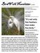 BirdWalk Newsletter