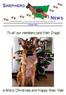 N Official Publication of the German Shepherd Dog League of NSW Inc