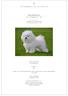 Mrs. Peggy Davis. Italy Companion and Toy. Group 9: Companion and Toy Dogs Section 1: Bichons and related breeds Without working trial