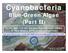 Cyanobacteria. Blue-Green Algae (Part II)