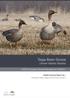 Taiga Bean Goose. (Anser fabalis fabalis) AEWA European Goose Management Platform