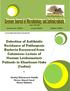 Detection of Antibiotic Resistance of Pathogenic Bacteria Recovered from Cutaneous Lesions of Human Leishmaniasis Patients in Khartoum State (Sudan)