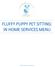 FLUFFY PUPPY PET SITTING: IN HOME SERVICES MENU