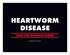 HEARTWORM DISEASE AND THE DAMAGE DONE