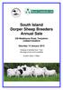 South Island Dorper Sheep Breeders Annual Sale