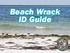 Beach Wrack ID Guide FWC