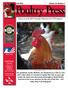 Poultry Press. United Poultry Concerns P.O. Box 150 Machipongo, VA (757) FAX: (757)