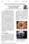 Ocular Tear Film Stability in Extra Ocular Diseases of Dogs