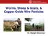Worms, Sheep & Goats, & Copper Oxide Wire Particles. Dr. Dwight Bowman