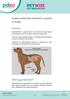 Gastroenteritis (stomach upset) in dogs