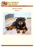 Official Publication of Dogs NT Vol Apr / May 2019 EMZACILY AL RAKIM AKA ALLY
