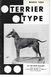 MARCH 1964 TERRIER CH. RED ROOF RAILLE'RY. Bred and owned by COMMANDER GEORGE H. EARLE, Ill Radnor, Pennsylvania