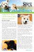Pet Pawsibilities. Puppy Bowl Victory Fetches Sullivan SPCA National Attention. By Jeanne Sager SUMMER/FALL NEWSLETTER 2012