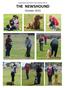 Queanbeyan and District Dog Training Club Inc. THE NEWSHOUND October 2015