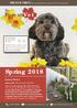 Spring Forest Vet. The. THE PAW PRINT : The pamphlet for people who love their pets. Maresfield. Latest News. Spring Talk: Wednesday 6th June