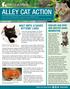 ALLEY CAT ACTION WAIT UNTIL 8 SAVES KITTENS LIVES