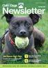 Newsletter. One Rescue Dog s Story. Spring 2015 RESCUING AND RE-HOMING ANIMALS SINCE Meet some of our animals looking for a home
