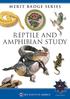 REPTILE AND AMPHIBIAN STUDY