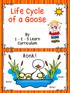 Life Cycle of a Goose