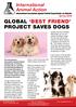 GLOBAL BEST FRIEND PROJECT SAVES DOGS