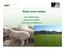 Wean more lambs. John Webb Ware Mackinnon Project University of Melbourne