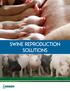 Swine Reproduction Solutions
