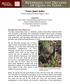 Texas Quail Index. Result Demonstration Report 2016