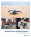 National Fish and Wildlife Foundation Sea Turtle Business Plan